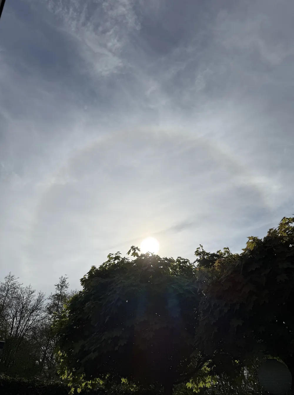 Een lichtkring rond de zon in een lucht met sluierbewolking